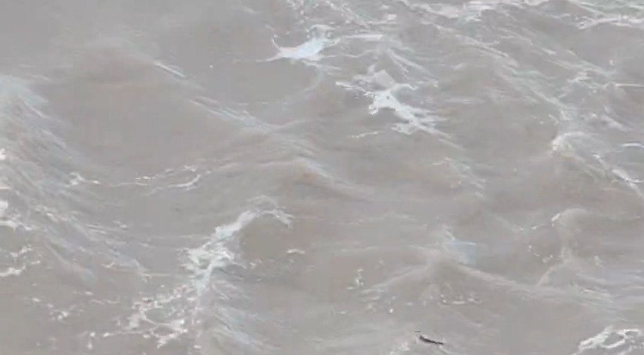 धमतरी में गजब! बाढ़ के पानी में बहती दिखी शराब, VIDEO वायरल, नारी गांव का मामला