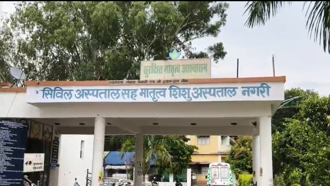 धमतरी में भालुओं का हमला