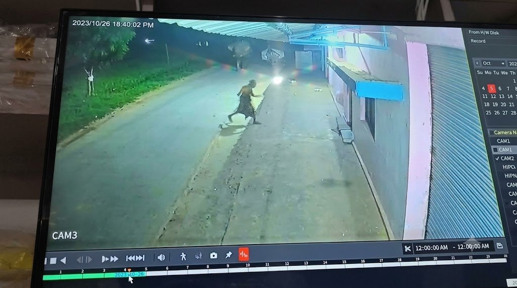 सरगुजा के सूरजपुर में घर के दरवाजे तक पहुंचा कबरा हाथी